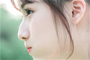 上海的登革热疫情对旅游业的影响 上海的登革热疫情对旅游业的影响